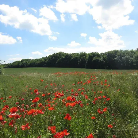 Sundblick Altefähr